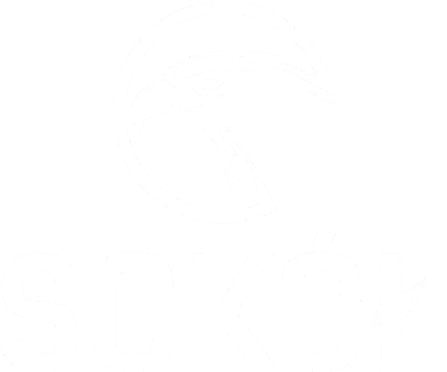 Sokół