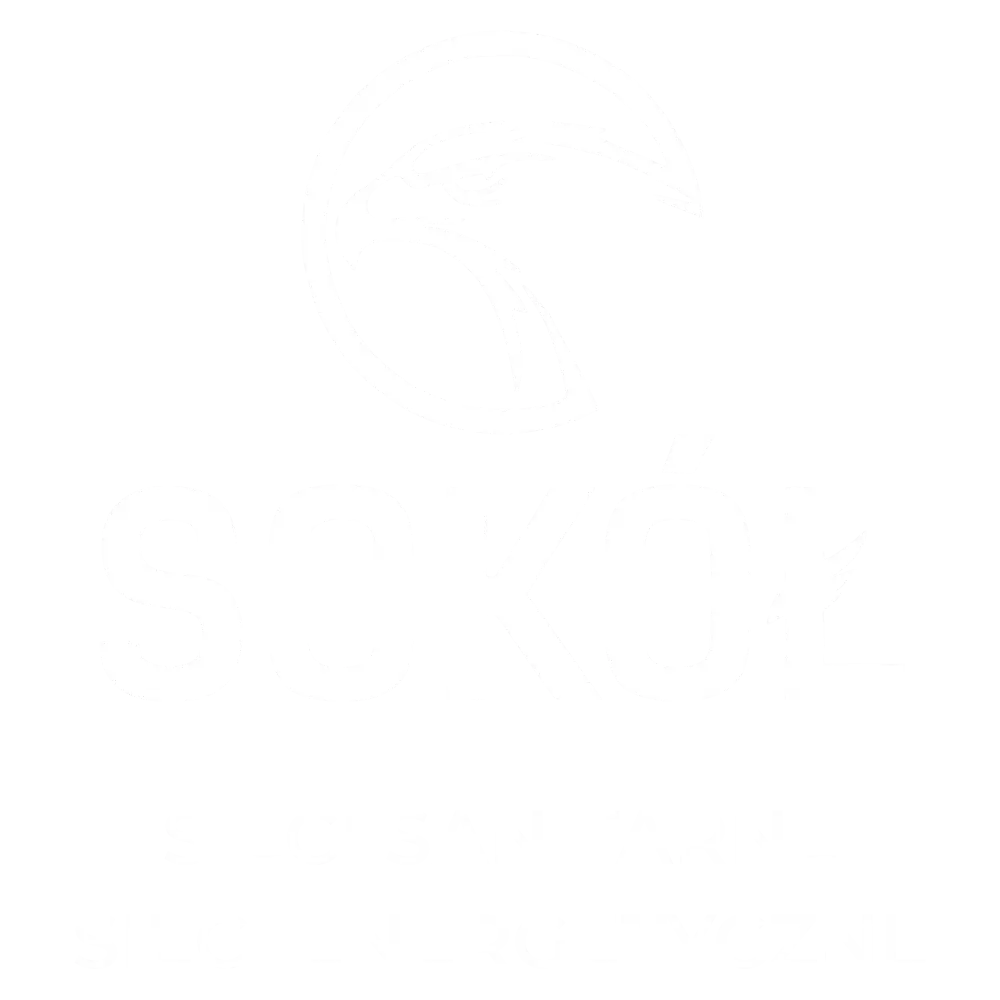 Sokół